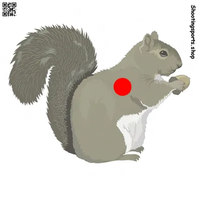 Squirrel Targets (25, A4)